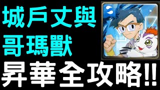 【神魔之塔】『城戶丈與哥瑪獸』昇華「1－4階」全攻略！【數碼寶貝合作】