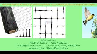 20x20mm 25x25mm HDPE green agriculture plastic anti bird net safety netting