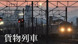 【ぎふ・音の葉】東海道線の貨物列車　―深夜・早朝の沿線から―