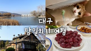 VLOG | 여행 브이로그🧳 | 대구 당일치기 놀러가기 | 뚜벅이 여행 | 대구 갈만한 곳