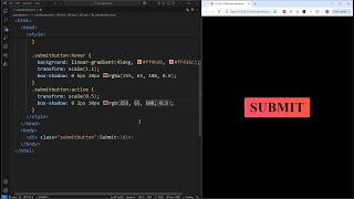 HTML and CSS Tutorial Beginner: Simple Animated Submit Button