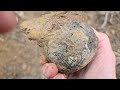 epic limb cast log pull muddy oregon adventure in search of petrified wood agates and jasper