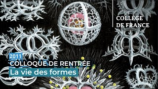 La vie des formes : ouverture du colloque - Pierre Corvol et Jean-Pierre Changeux