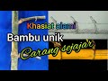 ciri-ciri dan khasiat bambu unik carang sejajar