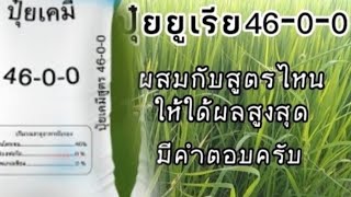 ยูเลีย46-0-0ผสมตัวไหนให้ใด้ผลผลิตสูง