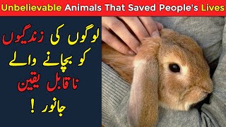 Top 5 Unbelievable Animals That Saved People's Life - Amazing Stories
