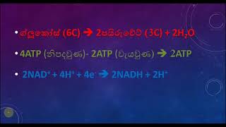 නිර්වායු ශ්වසනය Anaerobic Respiration