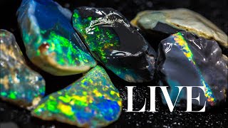 LIVE opal roughing out session with Justin