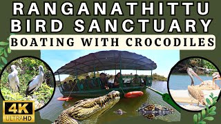 CROCODILE SIGHTING WITH RARE BIRDS | RANGANATHITTU BIRD SANCTUARY #BirdWatching #crocodile #birds