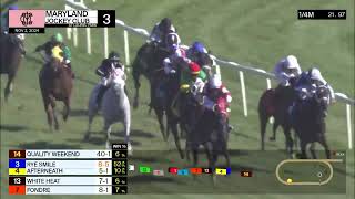 Laurel Park Carrera 3 - 2 de Noviembre 2024