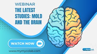 The Latest Studies: Mold and the Brain