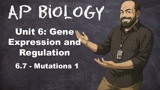 AP Bio Unit 6 – Topic 6.7 – Mutations (Part 1)