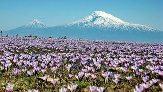 Հայաստանը մենք ենք