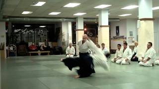 HD - Aikido Shihan Claude Berthiaume Sensei - 2010 Canada, Montreal - Aihanmi Katatetori Kokyuho