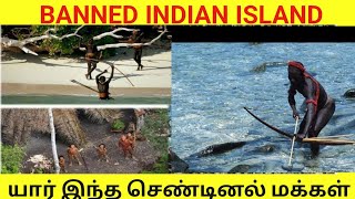 இந்திய அரசாங்கமே பயந்து தடை செய்த தீவு | North Sentinel Island | Sentinelese Tribe | Tamil | Mystery