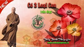 Có 3 Loại Con (vấn đáp) - Thầy Thích Pháp Hòa