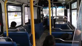 Calgary Transit Driver: Ziggy Brown