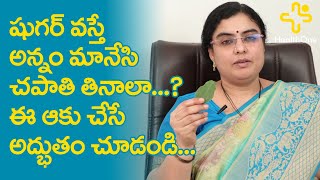 షుగర్ వస్తే అన్నం మానేసి చపాతి తినాలా..? Unani Medicine | Dr SGV Sathya | TeluguOne Health