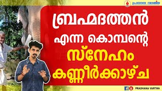 ബ്രഹ്മദത്തൻ എന്ന കൊമ്പന്റെ സ്നേഹം കണ്ണീർക്കാഴ്ച   II   BRAHMADHATHAN   II  OMANACHETTAN   II   LOVE