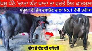 ਪਸ਼ੂਆਂ ਦੀ ਭੁੱਖ ਵਧਾਉਣ ਦਾ No.1 ਫਾਰਮੂਲਾ। pashu ki bhukh kaise badhaye.babbu dhillon farm