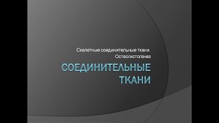 Скелетные соединительные ткани: хрящевая и костная ткань. Остеогистогенез.