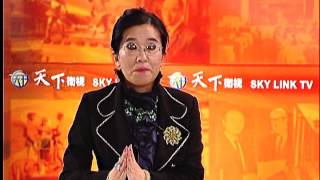 天下縱橫談 2014-01-25 論2014年新法規 移民 消費 交通法 P1 TV1