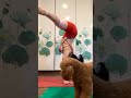 Handstand Practice 6