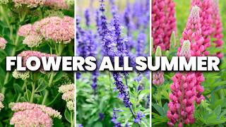12 Perennials EVERY Garden Should Have