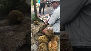 mBorong Duren Bisa NGUTANG #shorts #duren #durian #utang