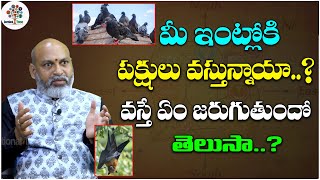 మీ ఇంట్లోకి పక్షులు వస్తున్నాయా? | Dharma Sandehalu By Nanaji Patnaik With J. Anjaneyulu | #185 | DT