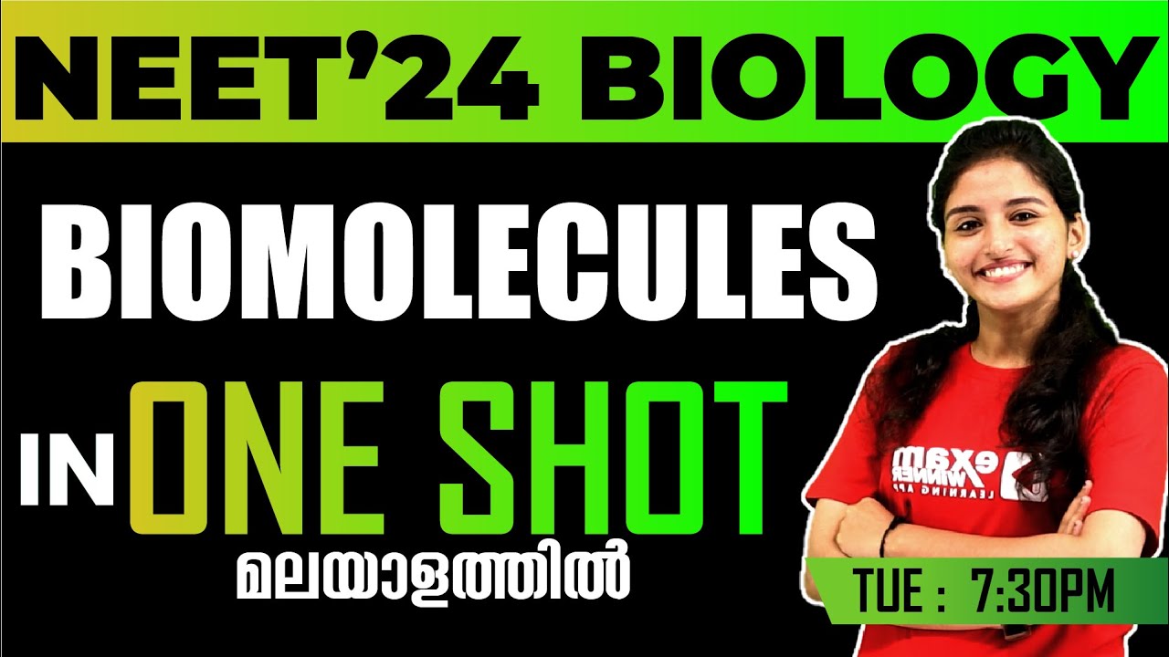 NEET' 2024 BIOLOGY | ONE SHOT SERIES | BIOMOLECULES | EXAM WINNER - YouTube