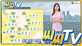 [See Sea TV] 2022년 6월 21일 제주도 남쪽 먼바다, 남해동부 먼바다 풍랑특보 발효 / 해양방송 On바다