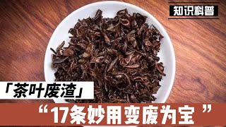 泡过的茶叶渣别扔了，17条妙用，让你变废为宝