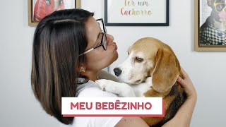 Quando um cão DEIXA de ser FILHOTE