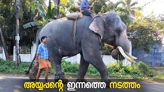 അയ്യപ്പന്റെ വഴിയടി 🥰 | Paramekkavu Ayyappan | Paramekkavu Ayyappan Vazhiyadi