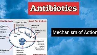 Antibiotics (Mechanism of Action) Antimicrobial chemotherapy آليه عمل المضادات الحيوية على البكتيريا