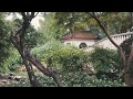 85 year old private garden sleep sounds deep sleep relaxing nature sounds 6 hours