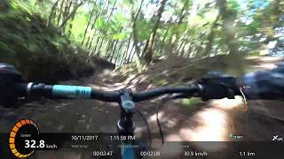 Fujiten Mountain Bike - Roller Coaster trail