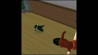 Cat breakdancing, but the girl breakdances too