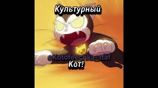 Культурный Кит 🖤😺 #edit #эдит #brawlstars #бравлстарс #Кит #Kit #meme #trend #shorts #популярное