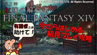 今さら始めるファイナルファンタジー14!!!【有識者パイセン方、助けて!!】