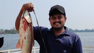 സ്‌പൈഡർ ഹൂക് വെച്ചൊരു രോഹു പിടുത്തം 🐟🐟🐟🐟