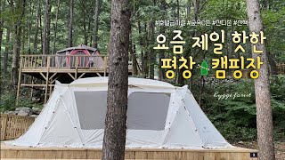 [4K]☔️평창 휘게포레스트ㅣ 역대급 호텔급 신상 캠핑장🏕️ ㅣ2박3일 마지막은 우중 캠핑