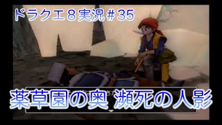 【薬草園の洞窟】ドラクエ８実況＃35【最奥の人影】