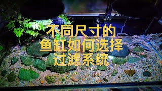 不同尺寸的鱼缸，过滤系统选择不同#过滤系统#溪流缸