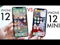 iPhone 12 Vs iPhone 12 Mini In 2022! (Comparison) (Review)