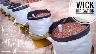 Wick Irrigation - തിരി നന | Roof Top Farming |