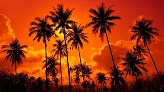 Freshly Baked 015 - Boom Bap / Instrumental Hip Hop / Chill - Mix