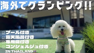 【ペットと一緒に泊まれるホテル】愛犬とグランピング！