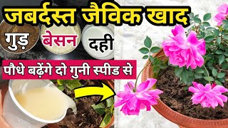 बेसन से बना जैविक खाद पौधे को फूलों और फलों से भर देगा.Best homemade organic fertilizer for plants.